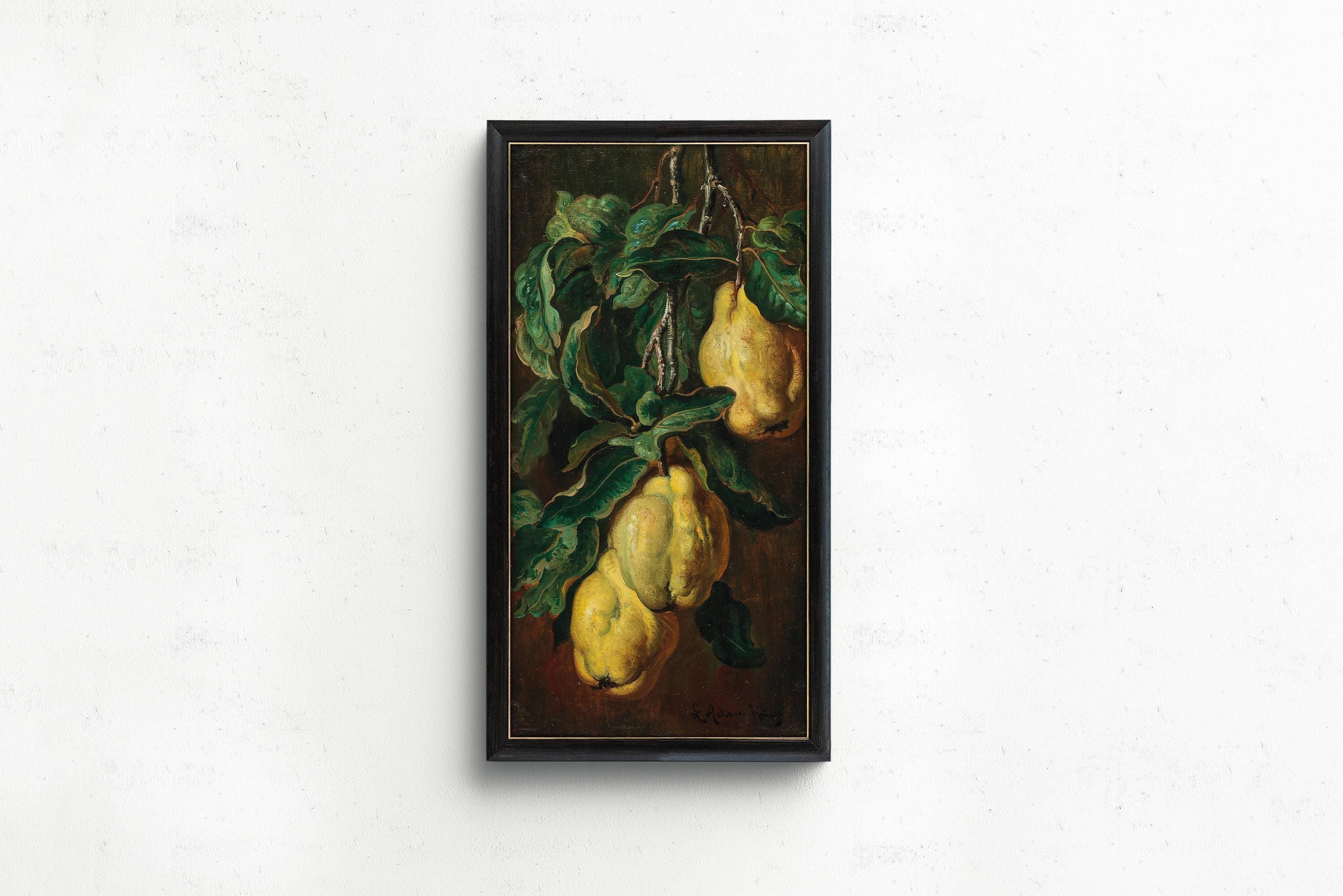 Adam Ludwig Kunz - Quinces | Vintage Victorian Botanical Fruit Tall Narrow Vertical Art (available handframed or unframed) 2x1 - 9ArtPrints