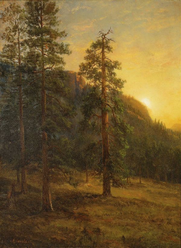 Albert Bierstadt — California Redwoods | Landscape Fine Art Print