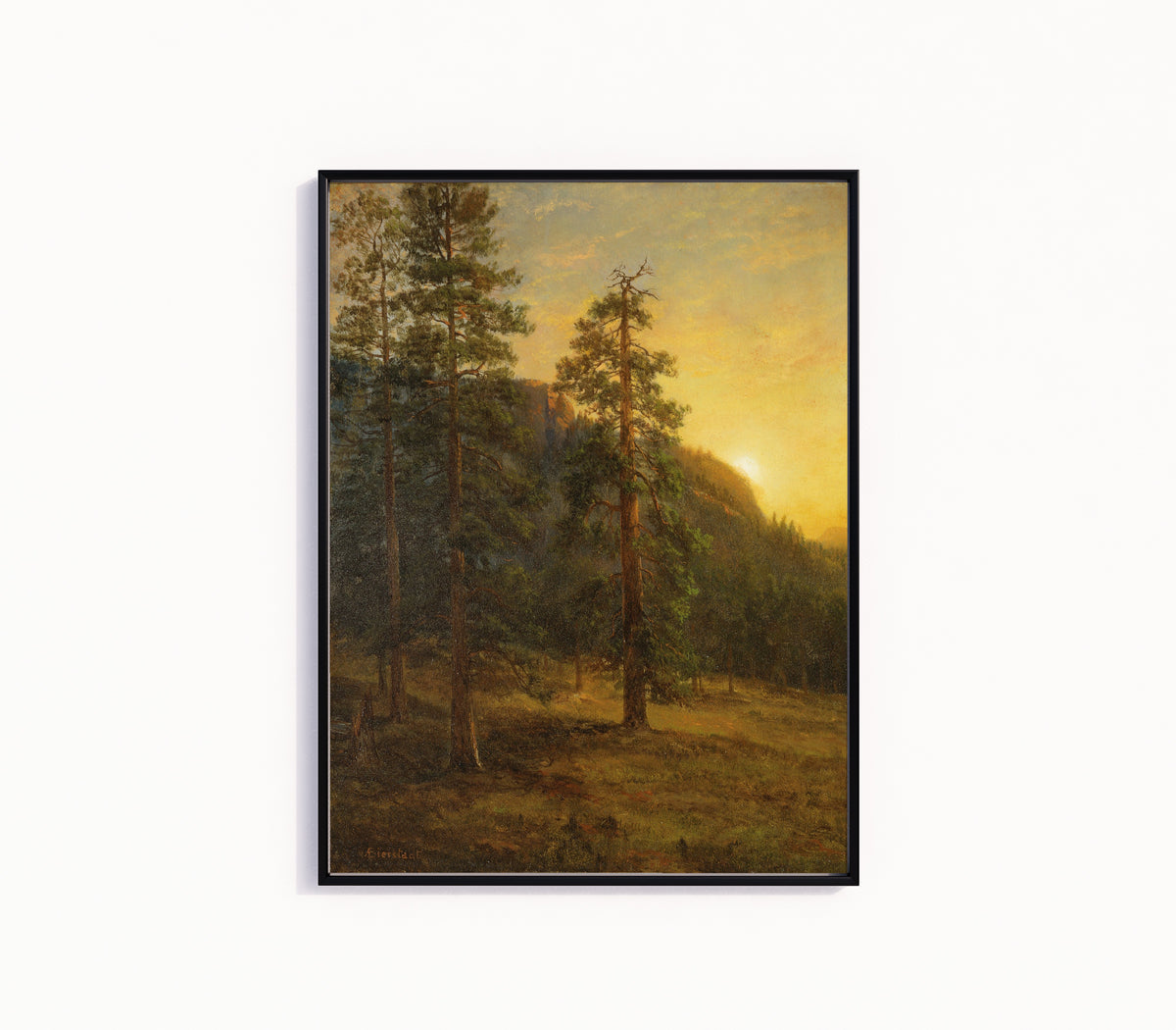 Framed art print of California Redwoods by Albert Bierstadt, in a slim black frame on a plain white wall
