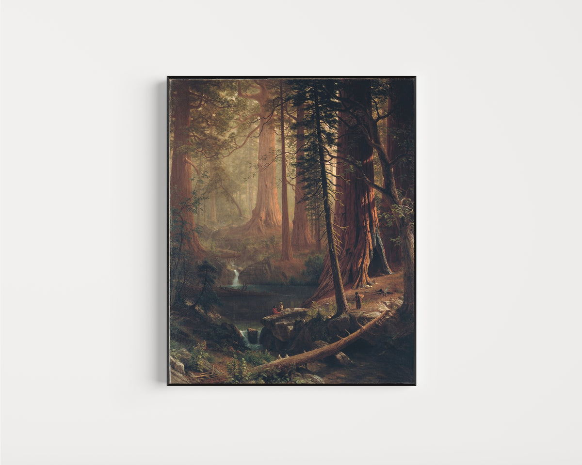 Framed art print of Giant Redwood Trees of California by Albert Bierstadt, in a slim black frame on a plain white wall