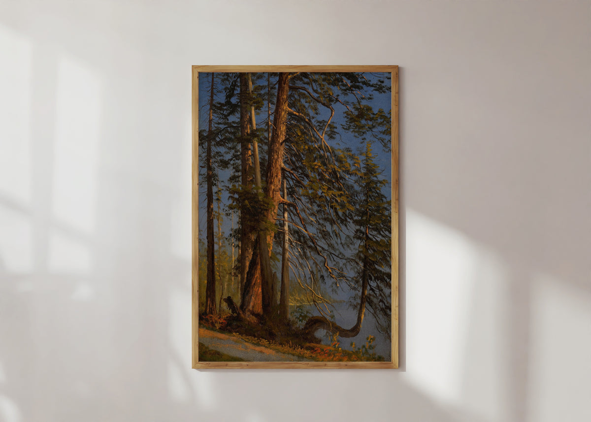 Framed art print of Park at Vancouver by Albert Bierstadt, in a light wood frame on a sunlit white wall