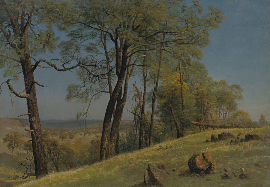 Albert Bierstadt — Rockland County, California | Landscape Fine Art Print shown to scale on a wall above a sofa