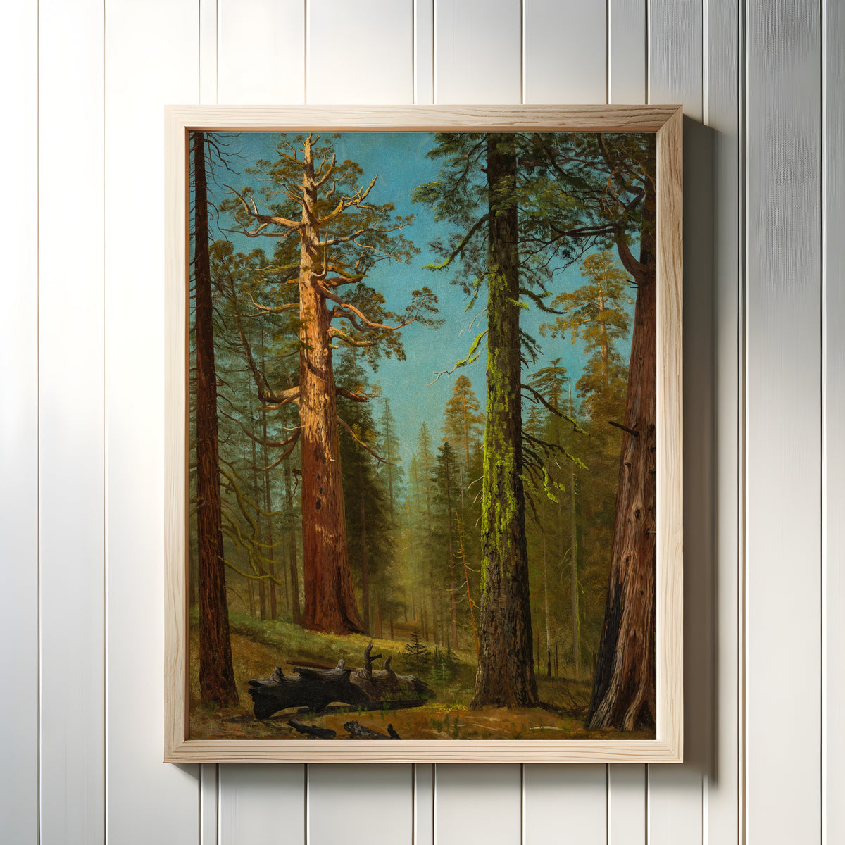 Framed art print of The Grizzly Giant Sequoia, Mariposa Grove, California by Albert Bierstadt, in a light wood frame on a white panelled wall
