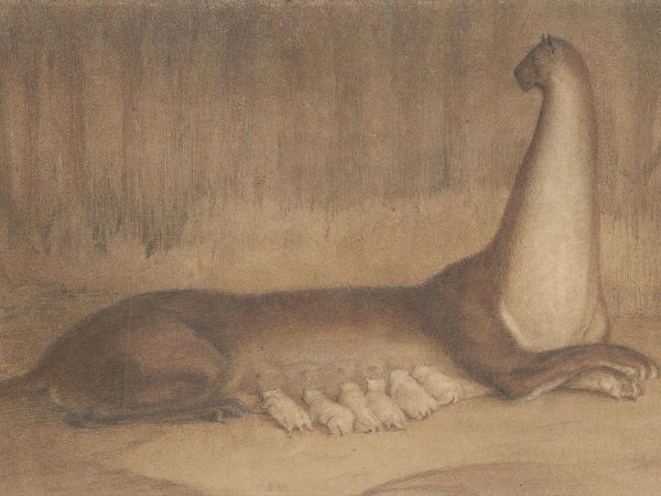 Alfred Kubin — The Brood | Symbolist Fine Art Print