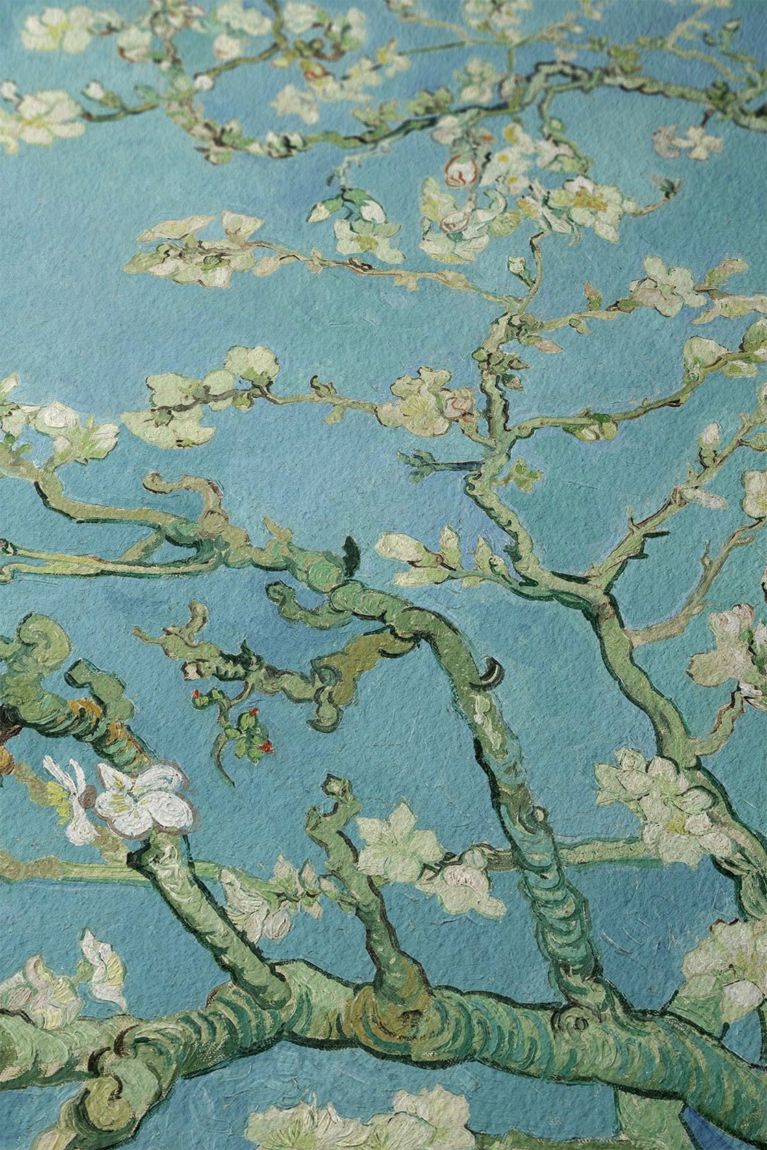 Almond Blossoms - 9ArtPrints