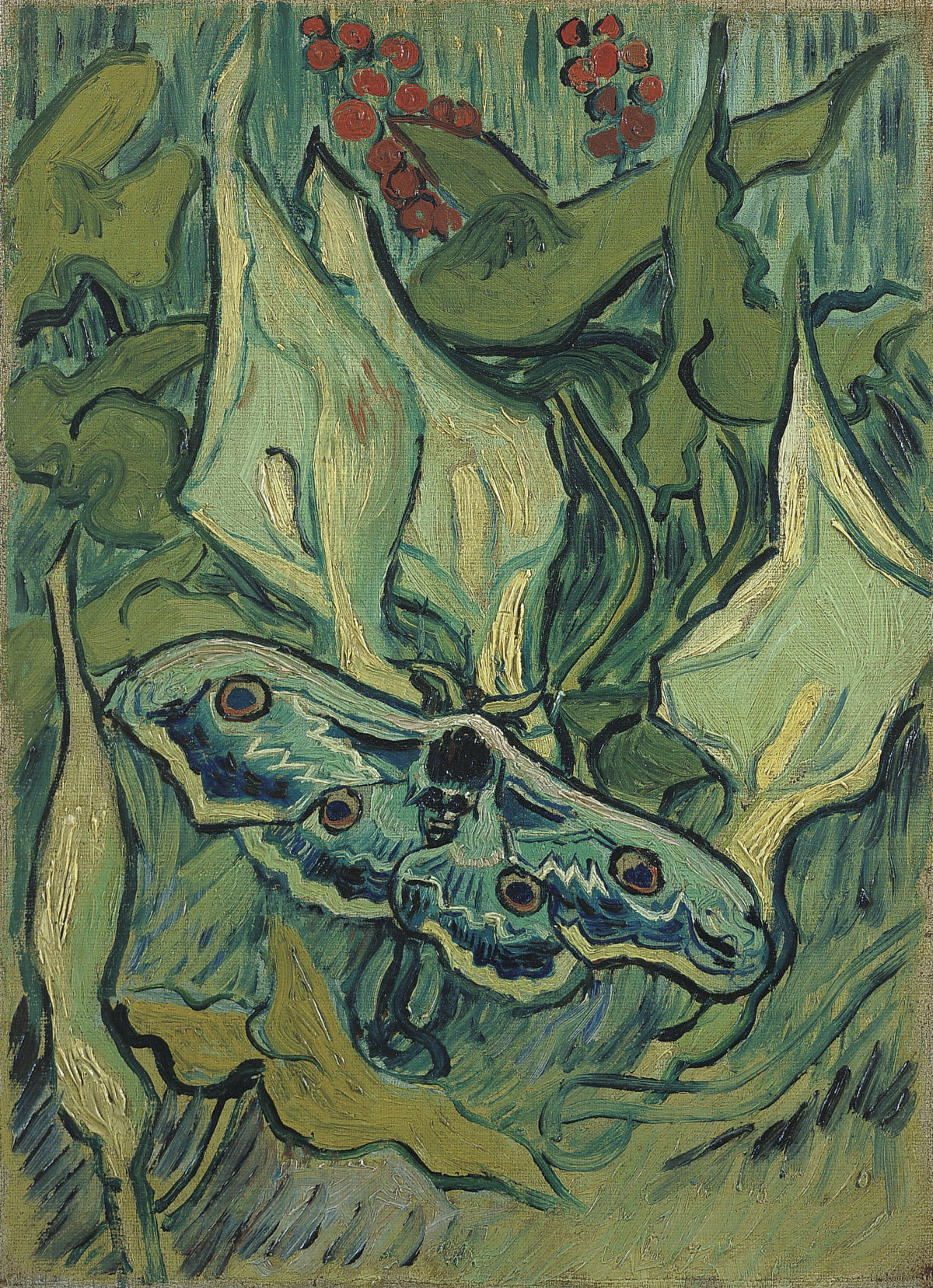Vincent van Gogh — Giant Peacock Moth | Fine Art Print