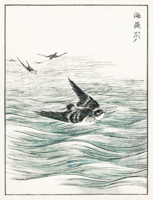 Numata Kashū — Riu Kiu House Swallow | Japanese Bird & Flower Woodblock Print