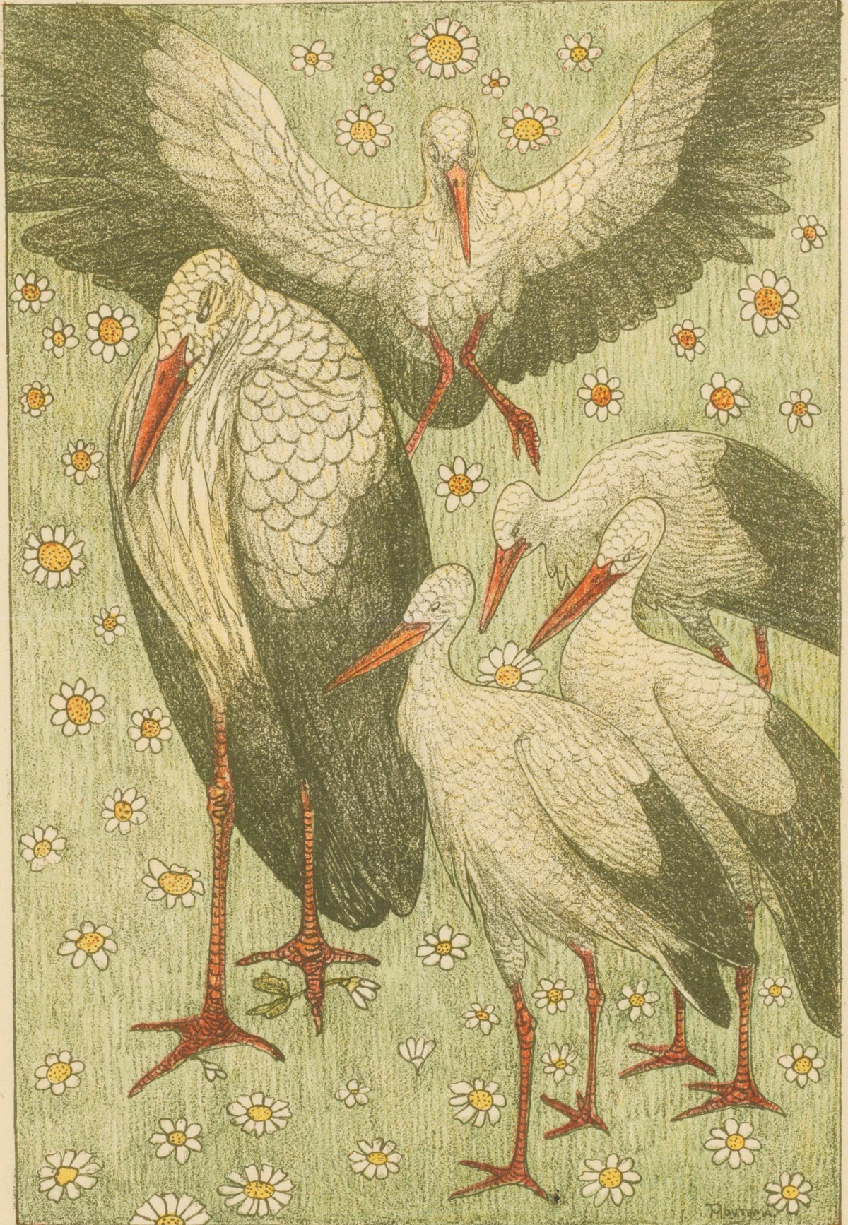 Theo van Hoytema — Five Storks in a Meadow | Art Nouveau Print