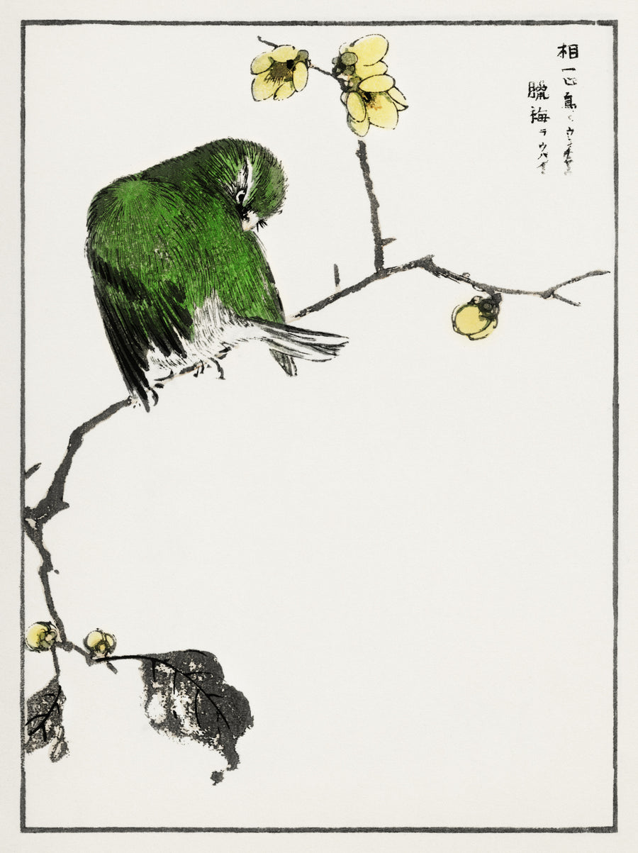 Numata Kashū — Red-billed Leiothrix and Wintersweet | Japanese Bird & Flower Woodblock Print shown to scale on a wall above a sofa