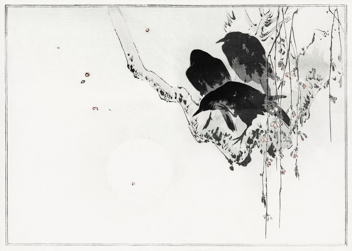 Watanabe Seitei — Japanese crows perched on a branch | Japanese Bird & Flower Woodblock Print