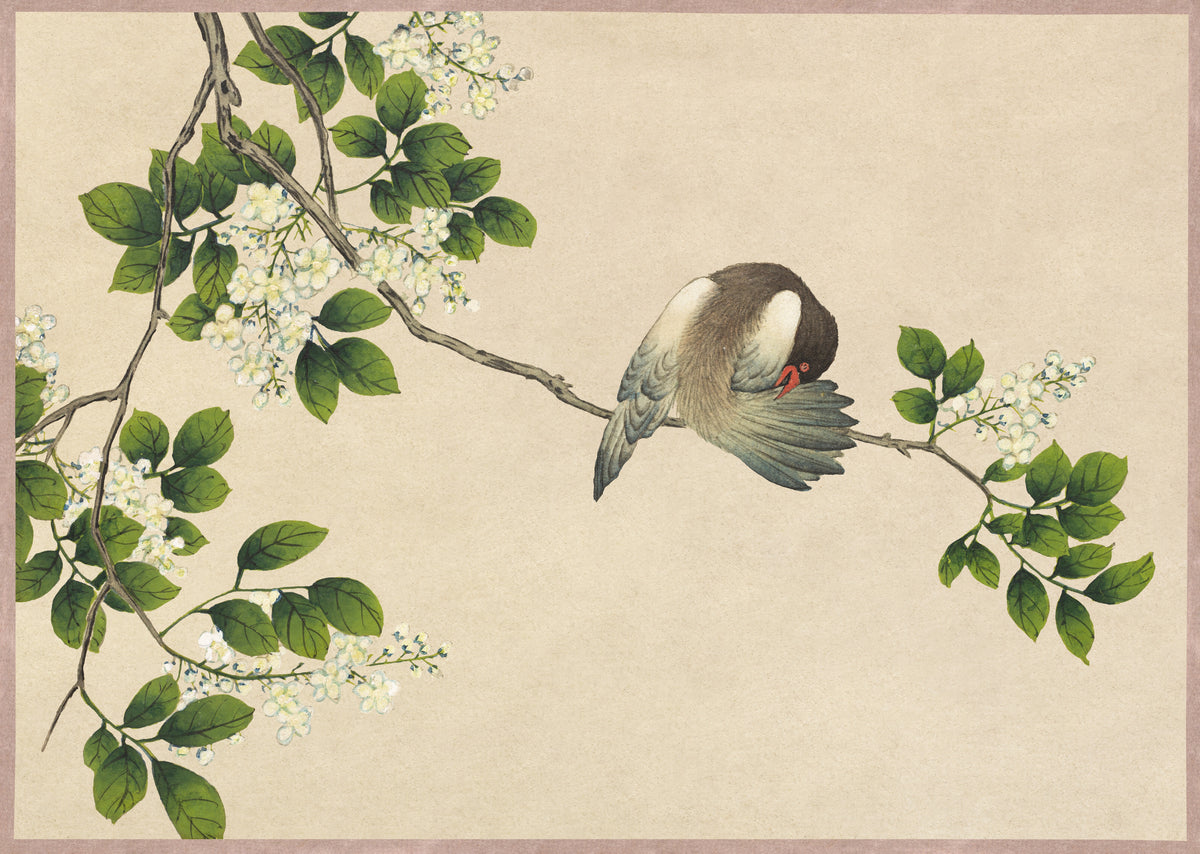 Zhang Ruoai — Desk Album: Flower and Bird Paintings (Preening Bird) | Chinese Ink Painting Art Print