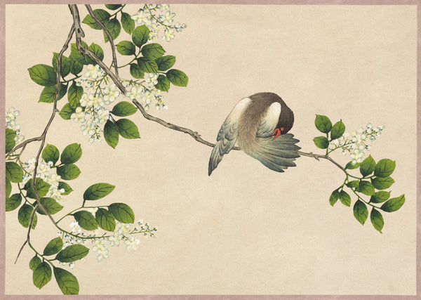 Zhang Ruoai — Desk Album: Flower and Bird Paintings (Preening Bird) | Chinese Ink Painting Art Print