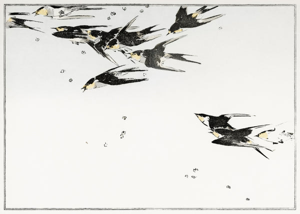 Watanabe Seitei — Swallows in Flight | Japanese Bird & Flower Woodblock Print