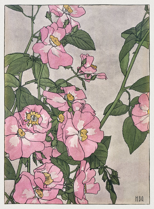 Hannah Borger Overbeck — Prairie Rose | Fine Art Print