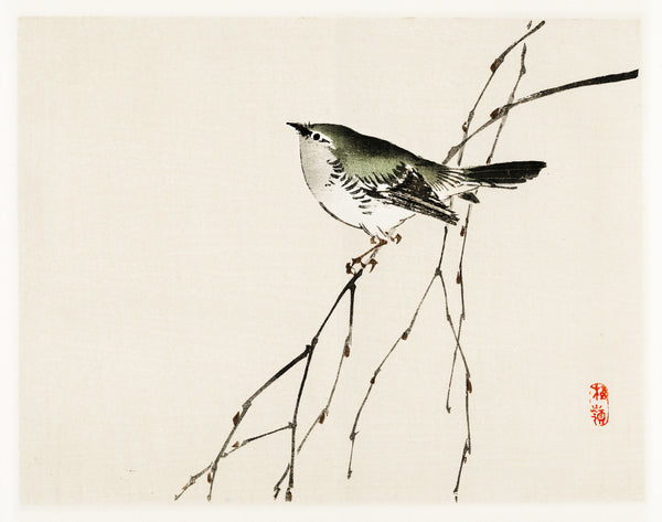 Kōno Bairei — Tit | Japanese Bird & Flower Woodblock Print