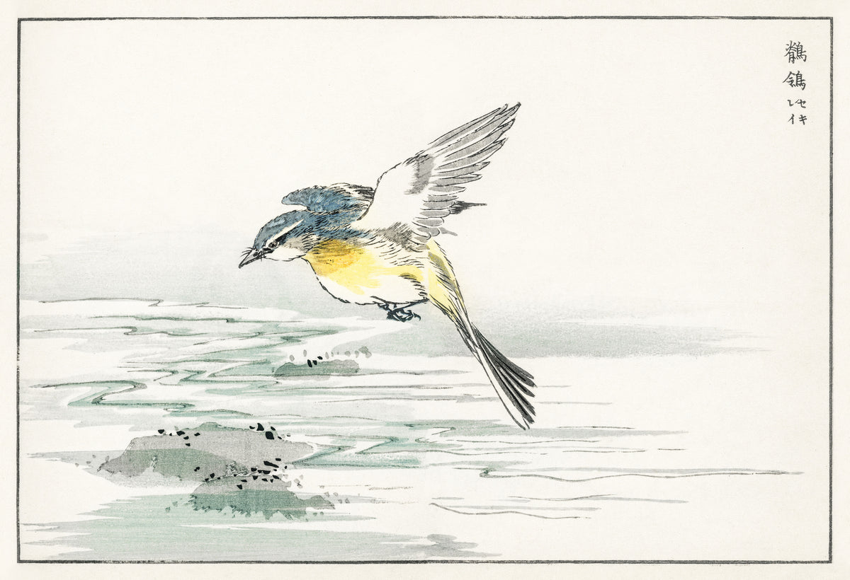 Numata Kashū — Wagtail over a Stream | Japanese Bird & Flower Woodblock Print