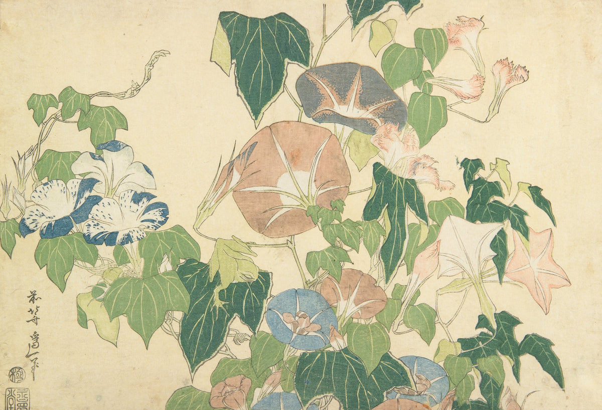 Katsushika Hokusai — Large Flowers: Morning Glories and Tree-frog | Japanese Woodblock Print (Ukiyo-e)