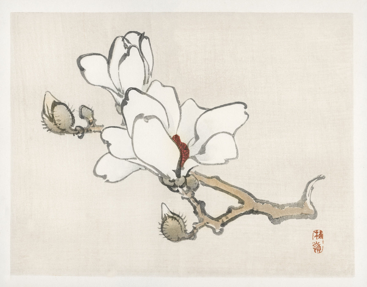 Kōno Bairei — Magnolia | Japanese Bird & Flower Woodblock Print