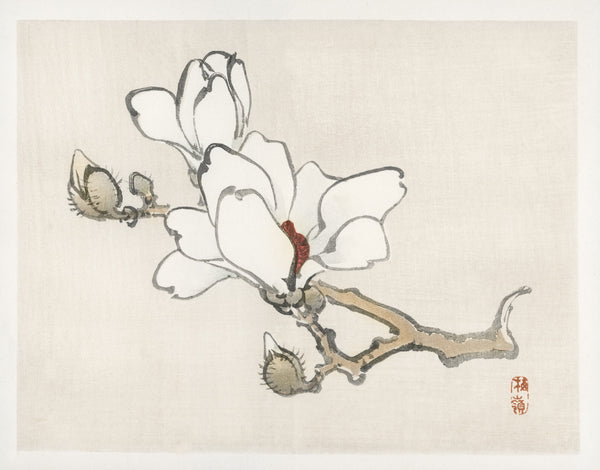 Kōno Bairei — Magnolia | Japanese Bird & Flower Woodblock Print