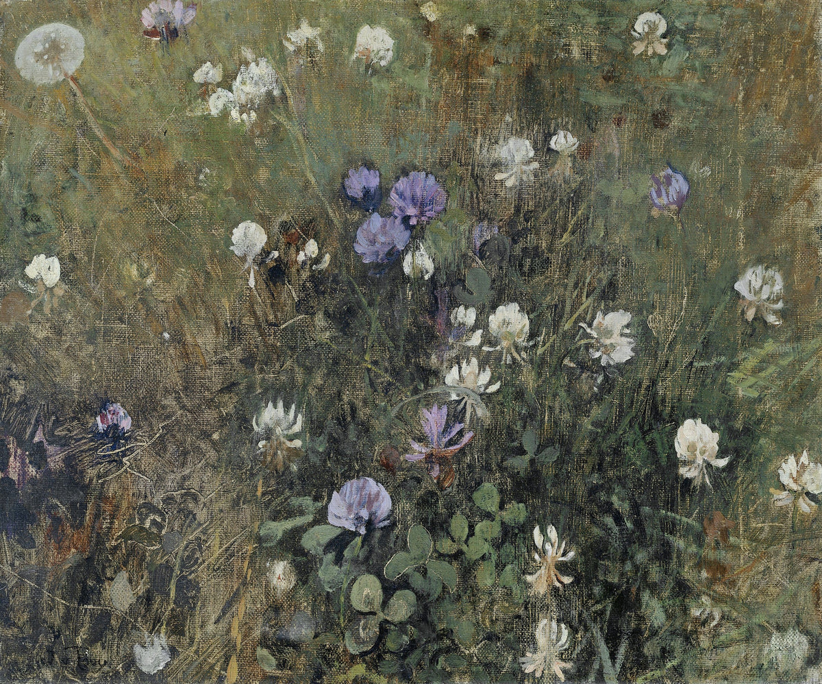 Blooming Clover by Jac van Looij — White and lilac clover blooms rise through tall meadow grass