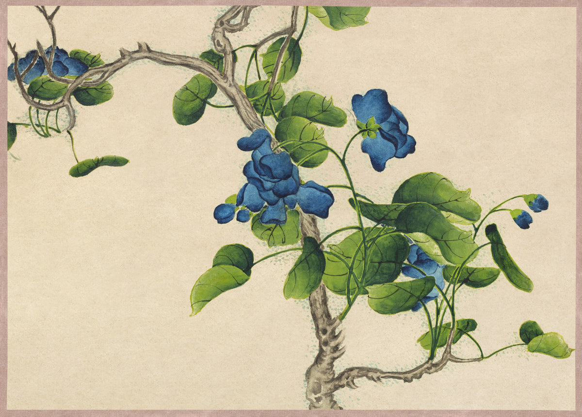 Zhang Ruoai — Desk Album: Flower and Bird Paintings (Climbing Blue Flowers) | Chinese Ink Painting Art Print