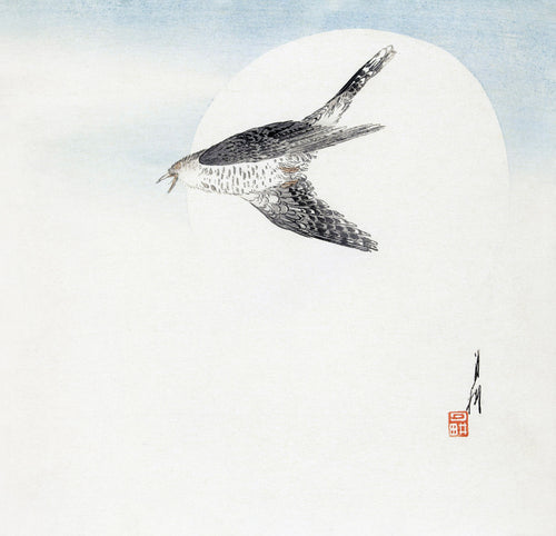 Cuckoo Flying at Full Moon (1900–1910) by Ogata Gekkō — A cuckoo cries out in flight across a full moon