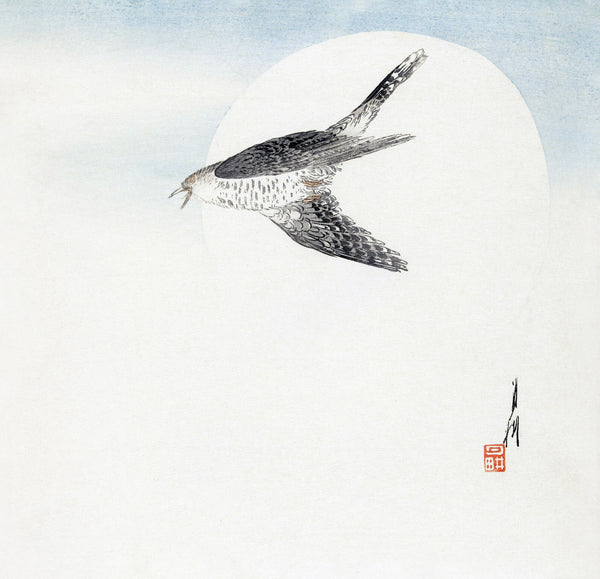 Ogata Gekkō — Cuckoo Flying at Full Moon (1900–1910) | Japanese Bird & Flower Woodblock Print