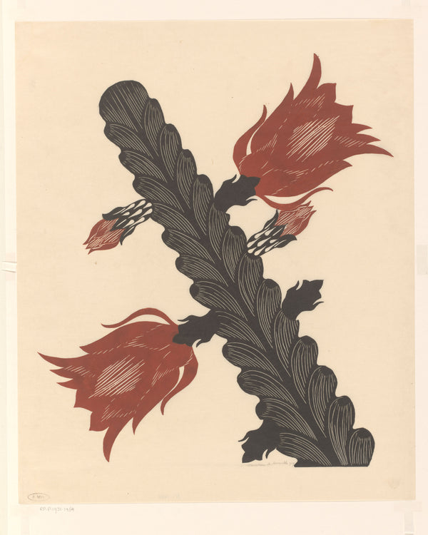 Samuel Jessurun de Mesquita — Bloeiende cactus (epiphyllum) [Flowering cactus] | Art Deco Woodcut Print