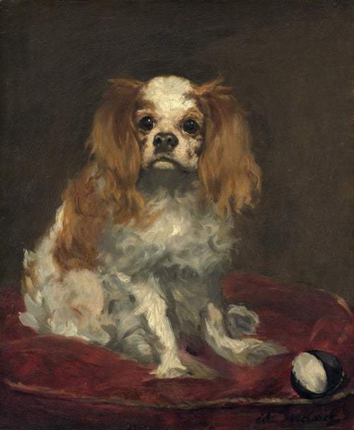 A King Charles Spaniel by Édouard Manet — A spaniel sits on a red cushion beside a black and white ball