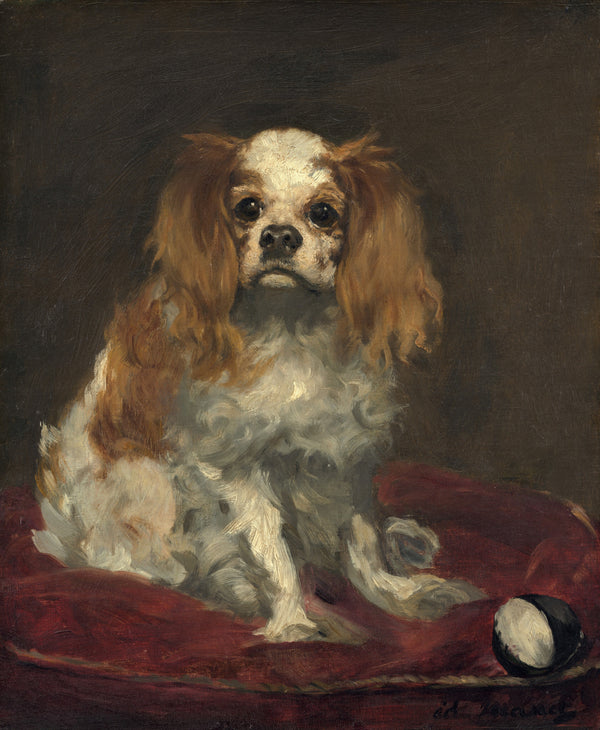 Édouard Manet — A King Charles Spaniel | Fine Art Print