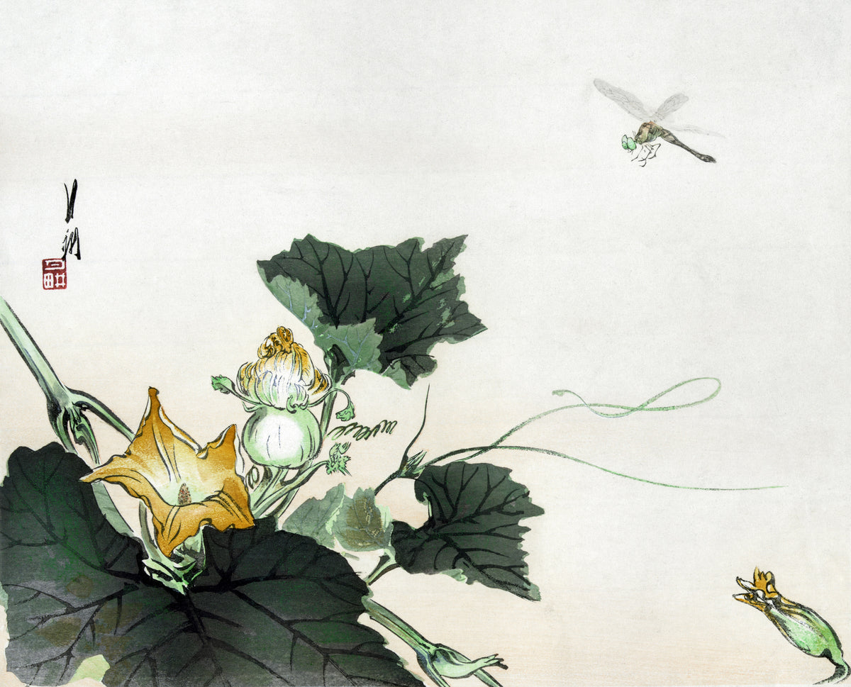 Ogata Gekkō — Kabocha ni tonbou (1890–1920) | Japanese Bird & Flower Woodblock Print