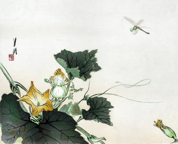 Ogata Gekkō — Kabocha ni tonbou (1890–1920) | Japanese Bird & Flower Woodblock Print