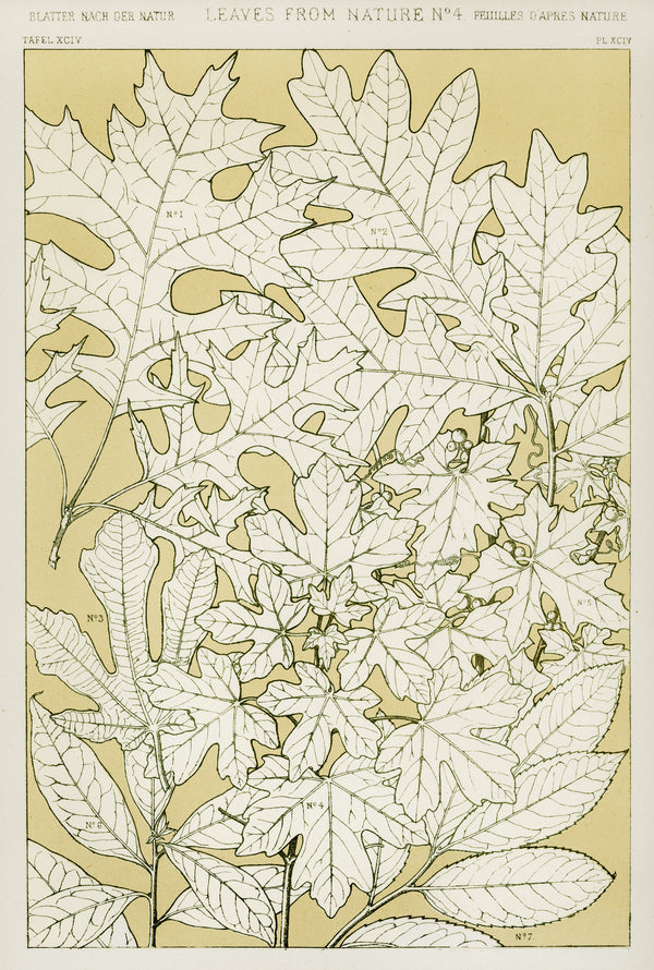 Owen Jones — Leaves from Nature No. 4 | Grammar of Ornament Design Print