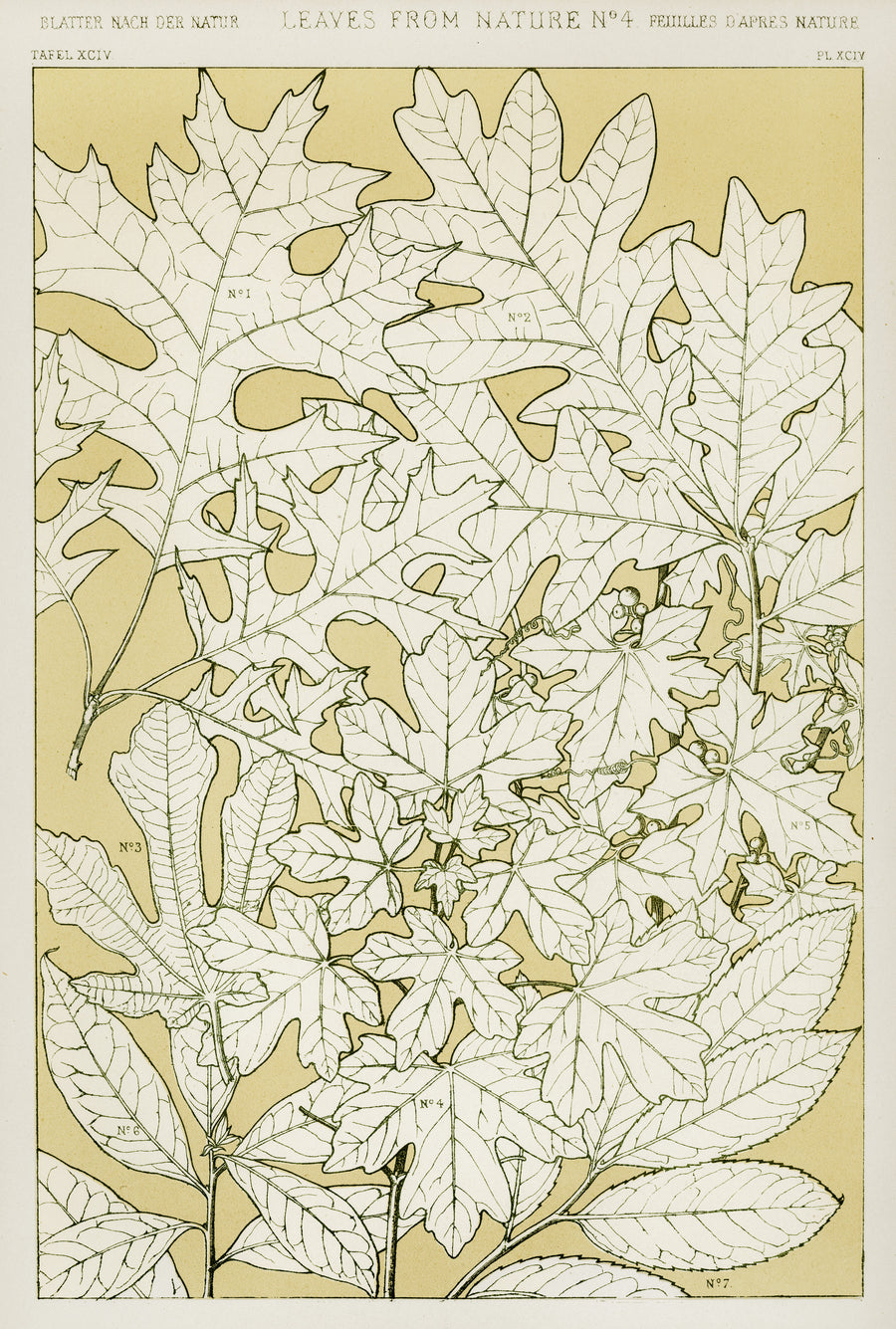 Owen Jones — Leaves from Nature No. 4 | Grammar of Ornament Design Print shown to scale on a wall above a sofa