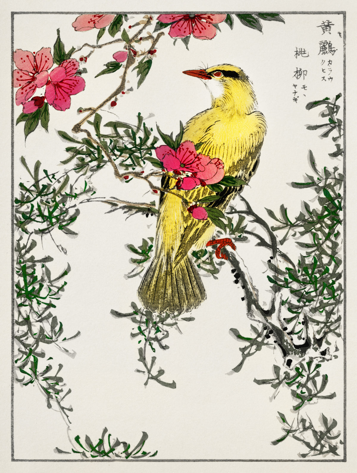 Numata Kashū — Black-naped Oriole with Peach and Willow | Japanese Bird & Flower Woodblock Print