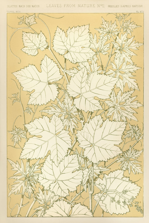 Owen Jones — Leaves from Nature No. 2 | Grammar of Ornament Design Print