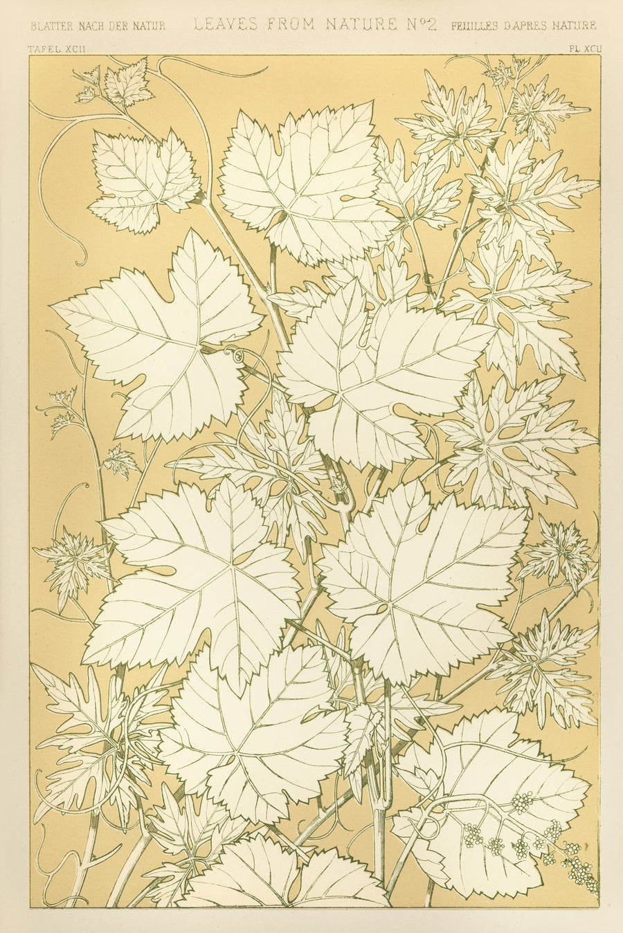 Owen Jones — Leaves from Nature No. 2 | Grammar of Ornament Design Print shown to scale on a wall above a sofa