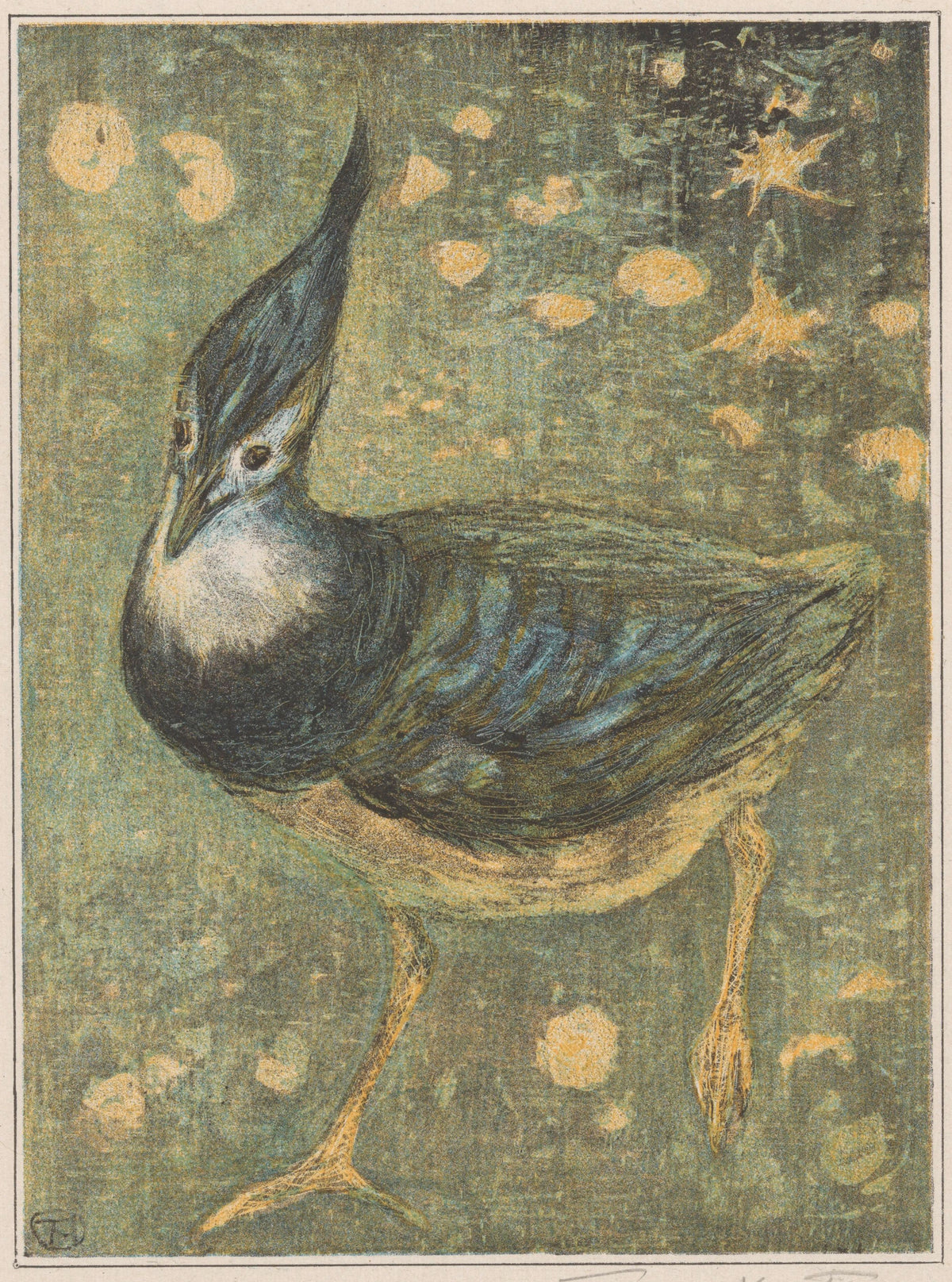 Theo van Hoytema — Lapwing | Art Nouveau Print