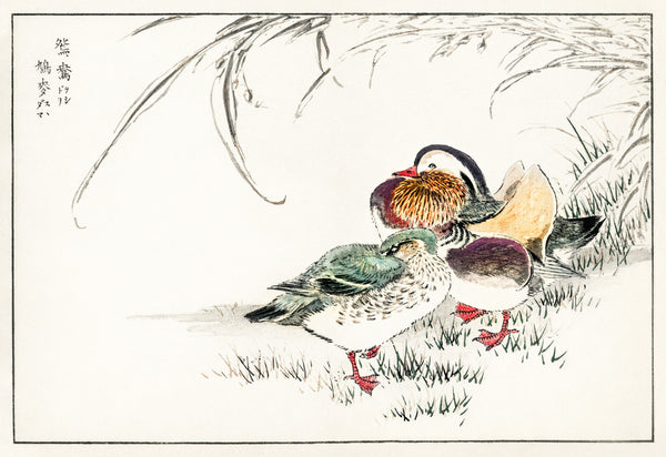 Numata Kashū — Mandarin Duck and Pearl Barley | Japanese Bird & Flower Woodblock Print
