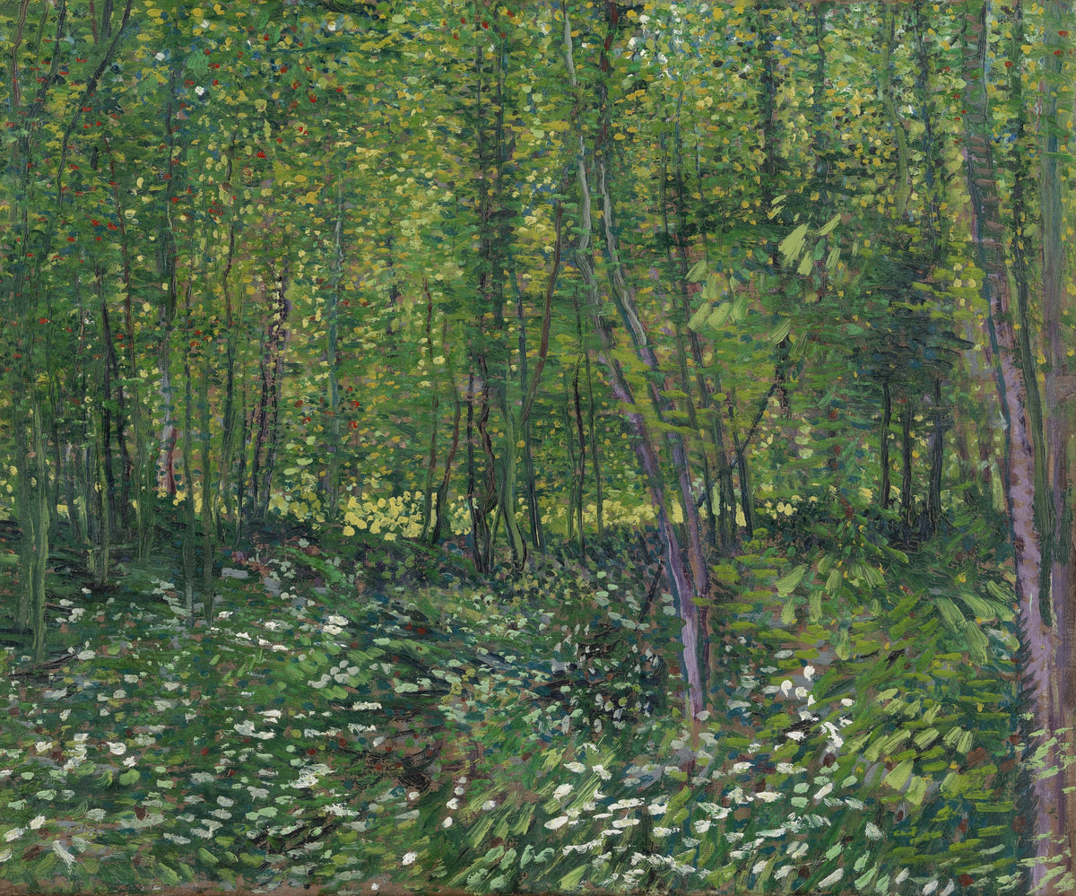 Vincent van Gogh — Trees and Undergrowth | Fine Art Print