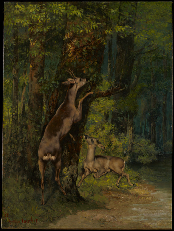 Gustave Courbet — Deer in the Forest | Fine Art Print