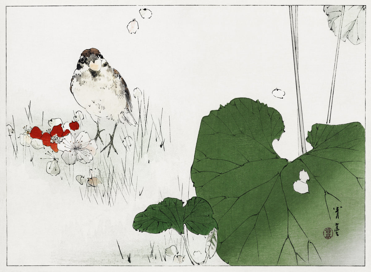 Watanabe Seitei — Eurasian tree sparrow | Japanese Bird & Flower Woodblock Print