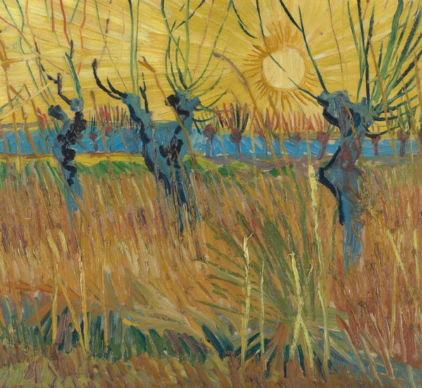 Vincent van Gogh — Pollard Willows at Sunset | Fine Art Print