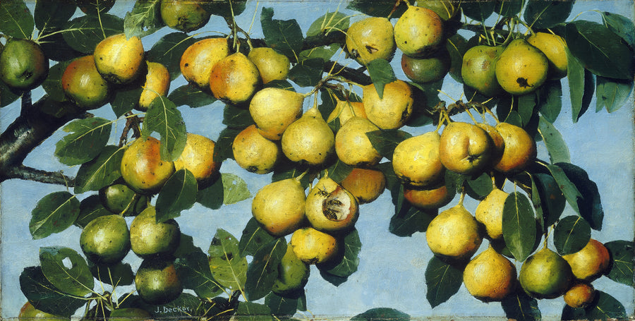 Joseph Decker — Ripening Pears | Fine Art Print shown to scale on a wall above a sofa