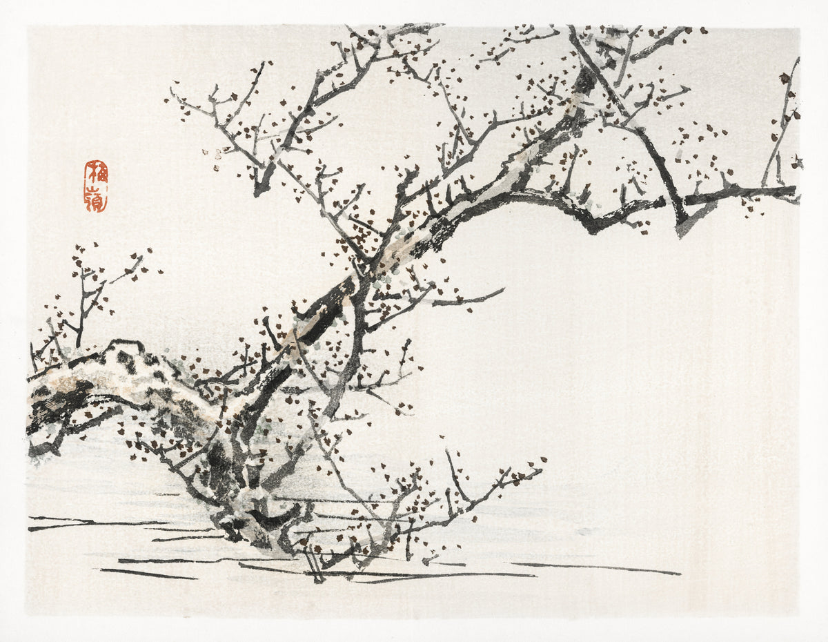 Kōno Bairei — Tree against the backdrop of water | Japanese Woodblock Print