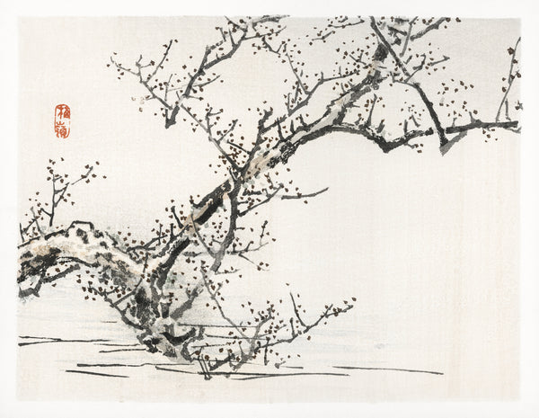 Kōno Bairei — Tree against the backdrop of water | Japanese Woodblock Print