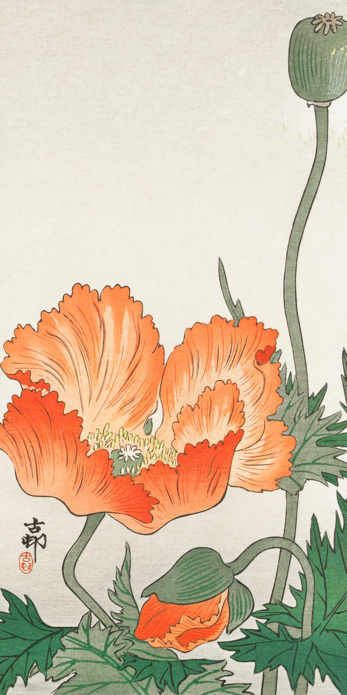 Ohara Koson — Poppies | Japanese Bird & Flower Woodblock Print