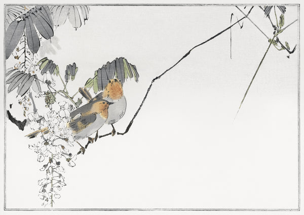 Watanabe Seitei — Two Birds and White Wisteria | Japanese Bird & Flower Woodblock Print