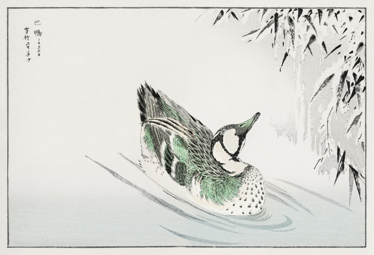Numata Kashū — Spectacled Teal and Snow-bent Bamboo | Japanese Bird & Flower Woodblock Print