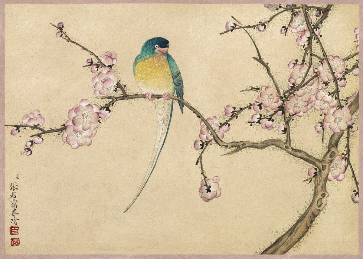 Zhang Ruoai — Desk Album: Flower and Bird Paintings (Bird with Plum Blossoms) | Chinese Ink Painting Art Print